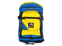 supreme north face backpack by any means